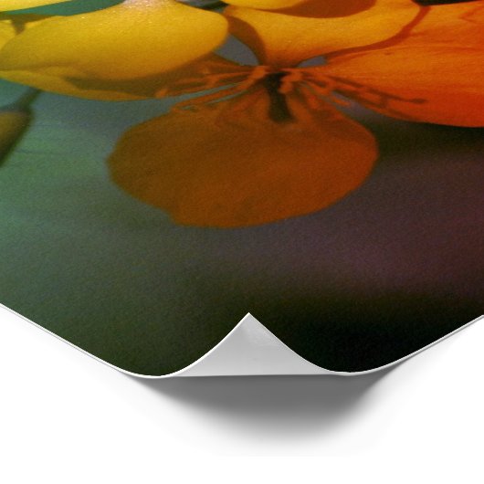 De Inspirerend Bloemen van het Leven Abstracte Cit Poster (Hoek)
