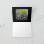 De Inspirerend Lege Kaart van de lavendel (Binnen)