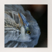 De intense blik van een Grijze Heron in Close-Up Legpuzzel (Horizontaal)