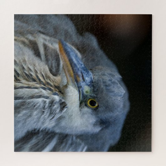 De intense blik van een Grijze Heron in Close-Up Legpuzzel (Horizontaal)