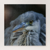 De intense blik van een Grijze Heron in Close-Up Legpuzzel (Verticaal)