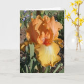 De iris wordt goed Kaart (Gele Bloem)