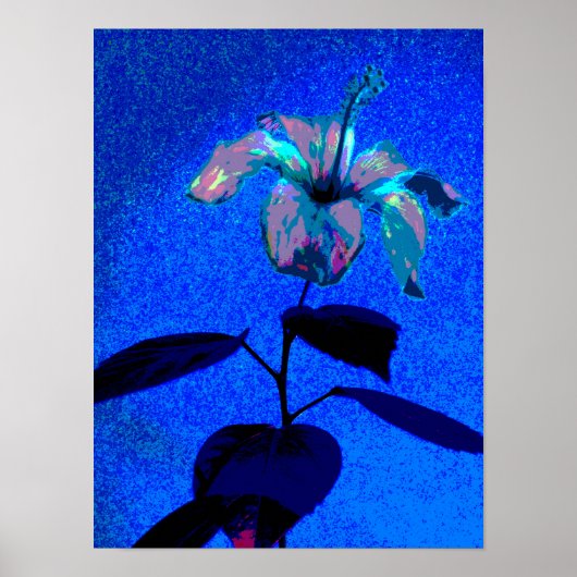 De iriserende hibiscus bloeit blauw roze poster (Voorkant)