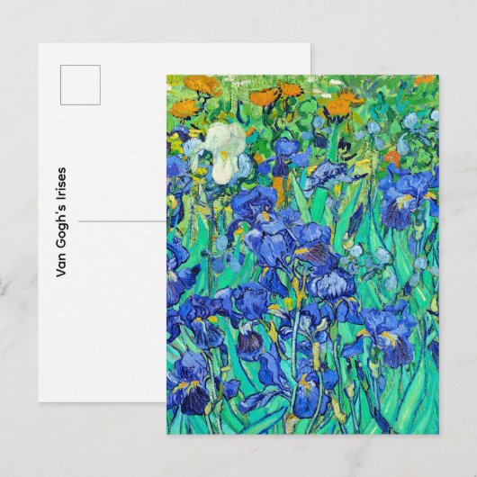 De irissen van Van Gogh Briefkaart (Voorkant / Achterkant)