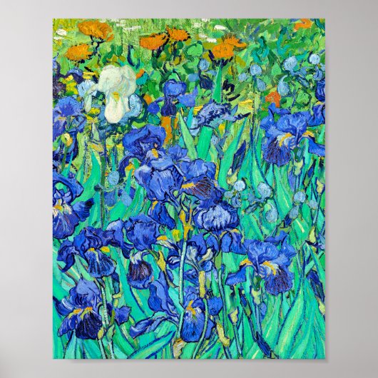De irissen van Van Gogh  Poster (Voorkant)