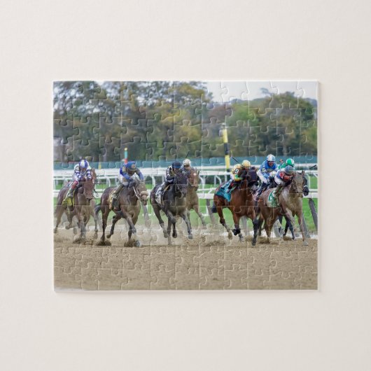 De Iroquios-trappen - Empire Showcase Day Legpuzzel (Horizontaal)