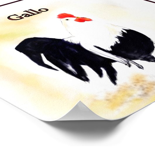 De Italiaanse ooster Gallo Poster (Hoek)