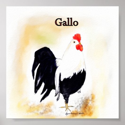 De Italiaanse ooster Gallo Poster (Voorkant)