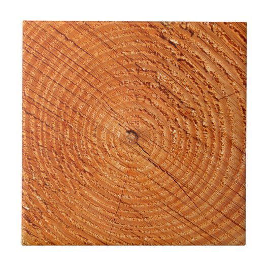 De jaarringen van de bomen sluiten dicht tegeltje (Voorkant)