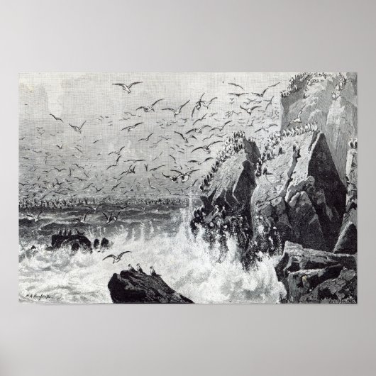 De jacht op de Golls Poster (Voorkant)