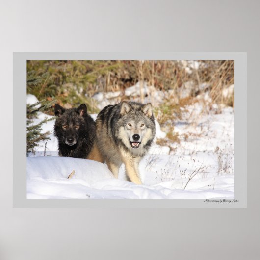 De Jacht Poster (Voorkant)