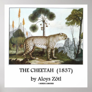 De jachtluipaard (1837) van Aloys Zötl Poster