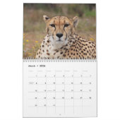 De jachtluipaard (Acinonyx jubatus) Kalender (Mar 2026)