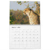 De jachtluipaard (Acinonyx jubatus) Kalender (Feb 2026)