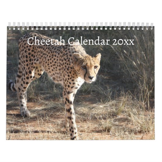De jachtluipaard (Acinonyx jubatus) Kalender (Hoes)
