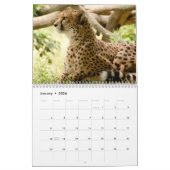 De jachtluipaard (Acinonyx jubatus) Kalender (Jan 2026)