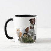 De Jack Russell Terrier, Art Mok (Links)