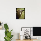 De Jacob Ewe Lamb is heel klein Poster (Thuiskantoor)