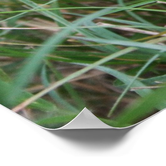 De jager die de rustplaats bezoekt poster (Hoek)