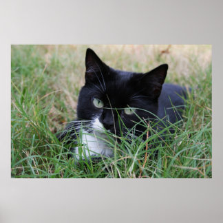 De jager die de rustplaats bezoekt poster