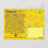 De Jaguar is een bedreigd dier - Briefkaart (Achterkant)