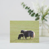 De Jakken van de koe & van het Kalf | Lijiang Briefkaart (Staand voorkant)