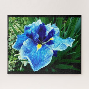DE JAPANESE IRIS-STROOM LEGPUZZEL