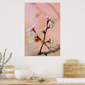 De Japanse Abrikozen bloesems Poster (Keuken)