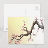 De Japanse Bloesems van de Kers Briefkaart (Voorkant / Achterkant)