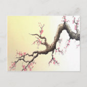 De Japanse Bloesems van de Kers Briefkaart (Voorkant)