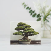 De Japanse Boom van de Bonsai van White Pine Briefkaart (Staand voorkant)