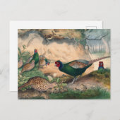De Japanse fazant van Joseph Wolf Briefkaart (Voorkant / Achterkant)