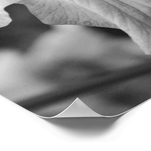 De Japanse IRIS-ventilator sluit zwart en wit af Poster (Hoek)