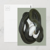 De Japanse moeder van de Slang van de Rat mooie en Briefkaart (Voorkant / Achterkant)