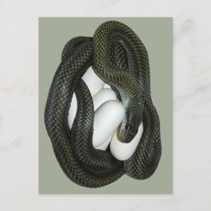 De Japanse moeder van de Slang van de Rat mooie en Briefkaart