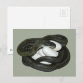 De Japanse moeder van de Slang van de Rat mooie en Briefkaart (Voorkant / Achterkant)