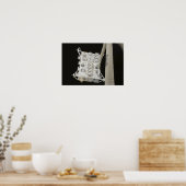 De Japanse proefmodule Blootgestelde faciliteit Poster (Keuken)