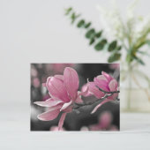 De Japanse Roze Magnolia van de Schotel Briefkaart (Staand voorkant)