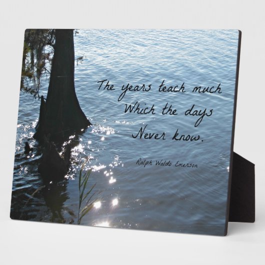 De jaren leren veel wat de dagen nooit weten fotoplaat (Zijkant)