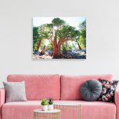 De jeneverbes in de Sierras Canvas Afdruk (Insitu (Woonkamer))