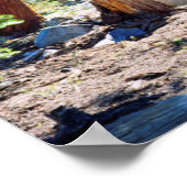 De jeneverbes in de Sierras Poster (Hoek)