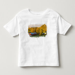De Jenne Farm in Woodstock, Vermont. Herfst. 2 Kinder Shirts
