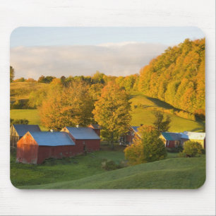 De Jenne Farm in Woodstock, Vermont. Herfst. 2 Muismat