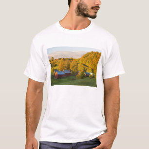 De Jenne Farm in Woodstock, Vermont. Herfst. 2 T-shirt