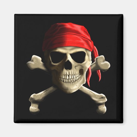 De Jolly Roger Magneet (Voorkant)