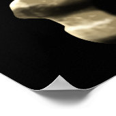 De Jolly Roger Poster (Hoek)