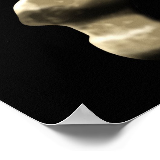 De Jolly Roger Poster (Hoek)