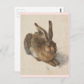 De jonge haas briefkaart (Voorkant / Achterkant)