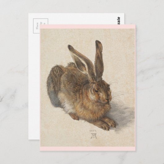 De jonge haas briefkaart (Voorkant / Achterkant)