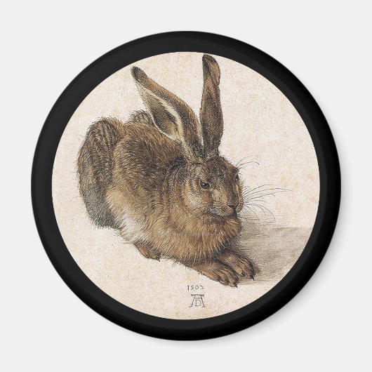 De jonge haas magneet (Voorkant)